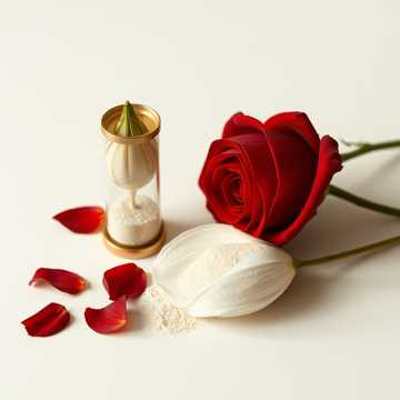 嗜血玫瑰 一周枯萎